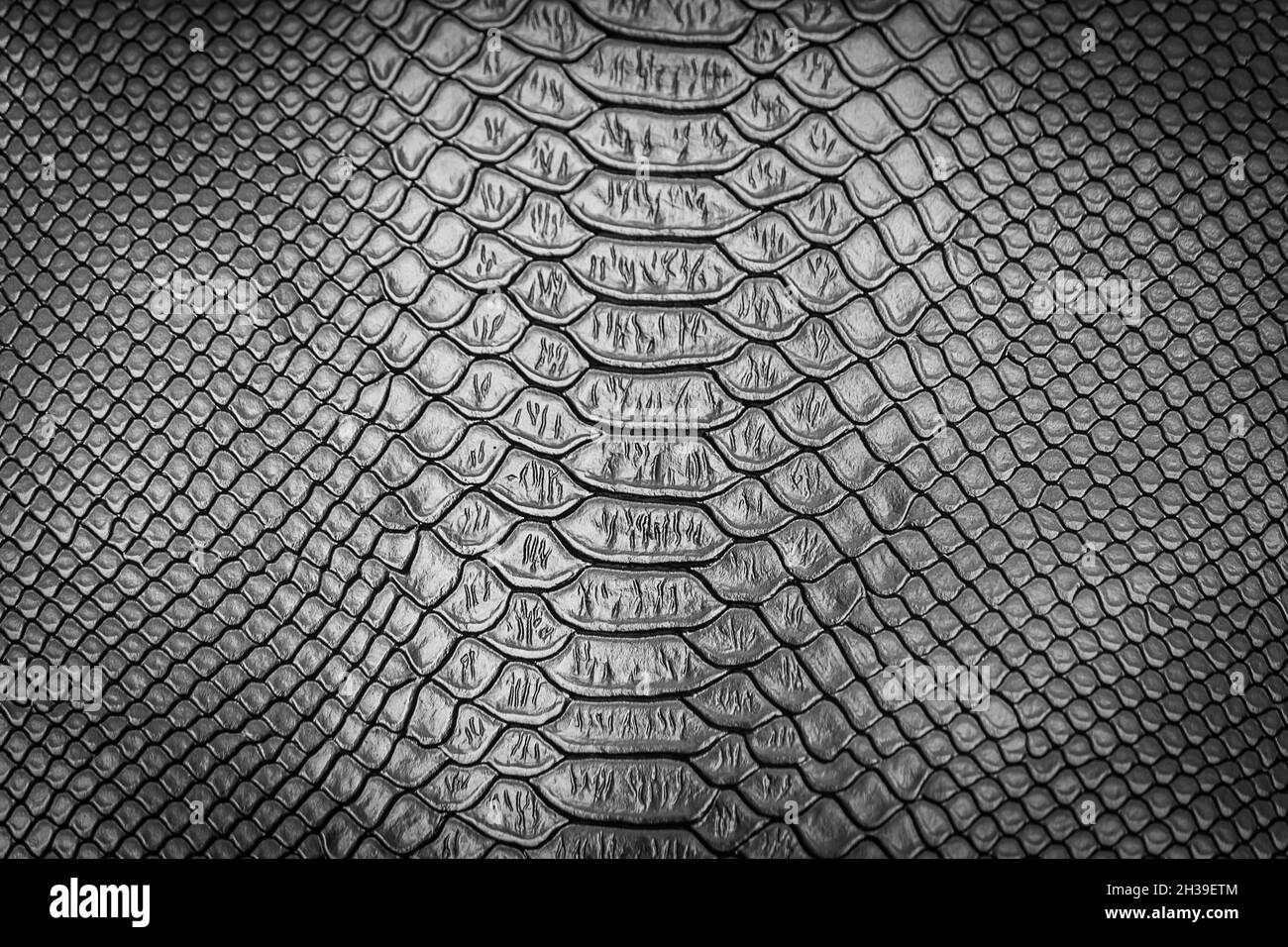 gros plan de la texture de peau de serpent pour l'arrière-plan Banque D'Images
