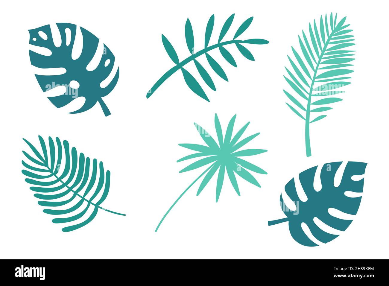 Ensemble de feuilles tropicales d'acacia monstère de palmier, illustration de vecteur de couleur turquoise vert Illustration de Vecteur