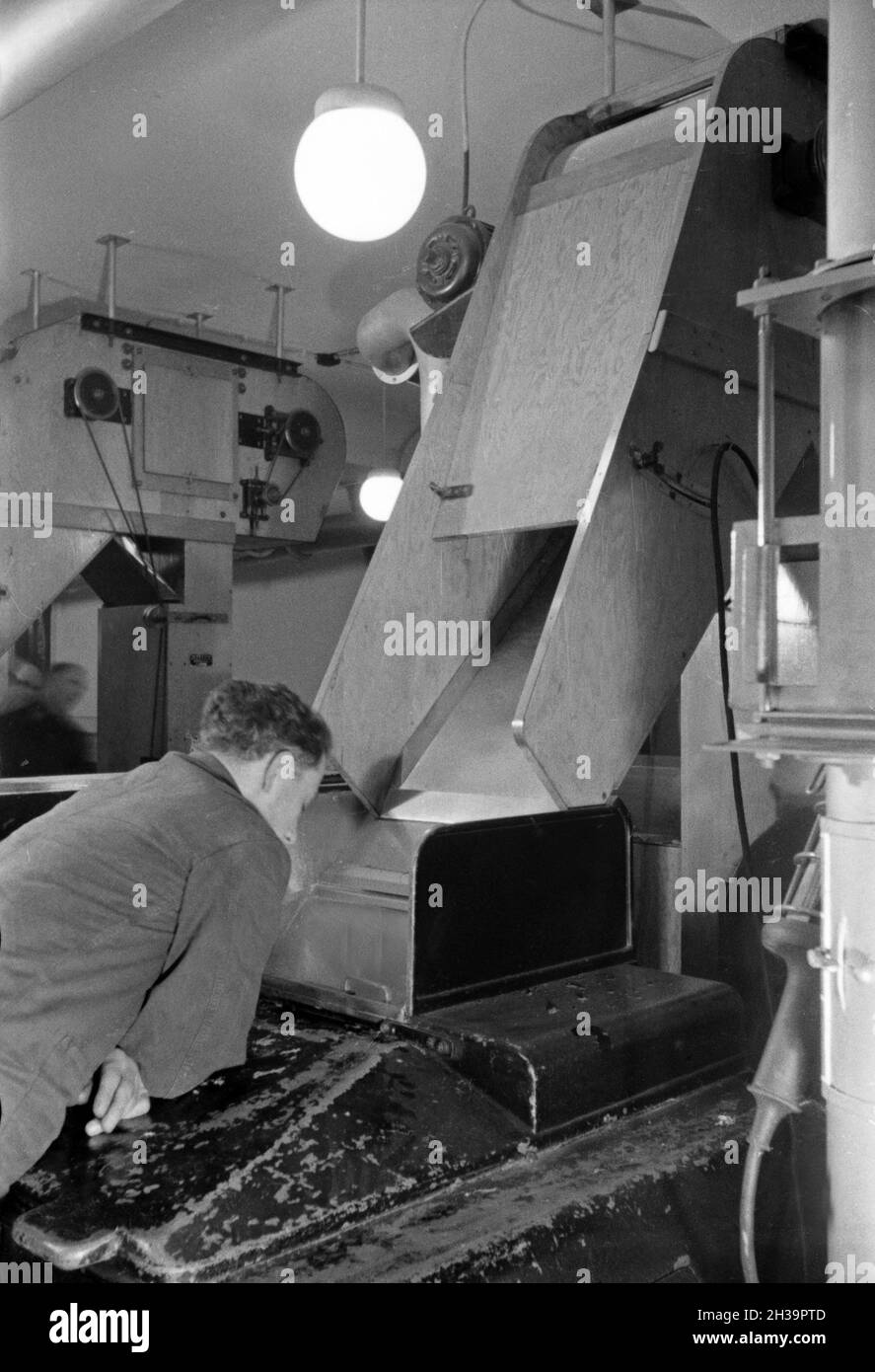 Dans Zigarettenprduktion Ein Mitarbeiter der in der Zigarettenfabrik Kyriazi dans Hamburg, Deutschland 1930 er Jahre. Un membre du personnel à la production de cigarettes à l'usine de cigarettes Kyriazi à Hambourg, Allemagne 1930. Banque D'Images