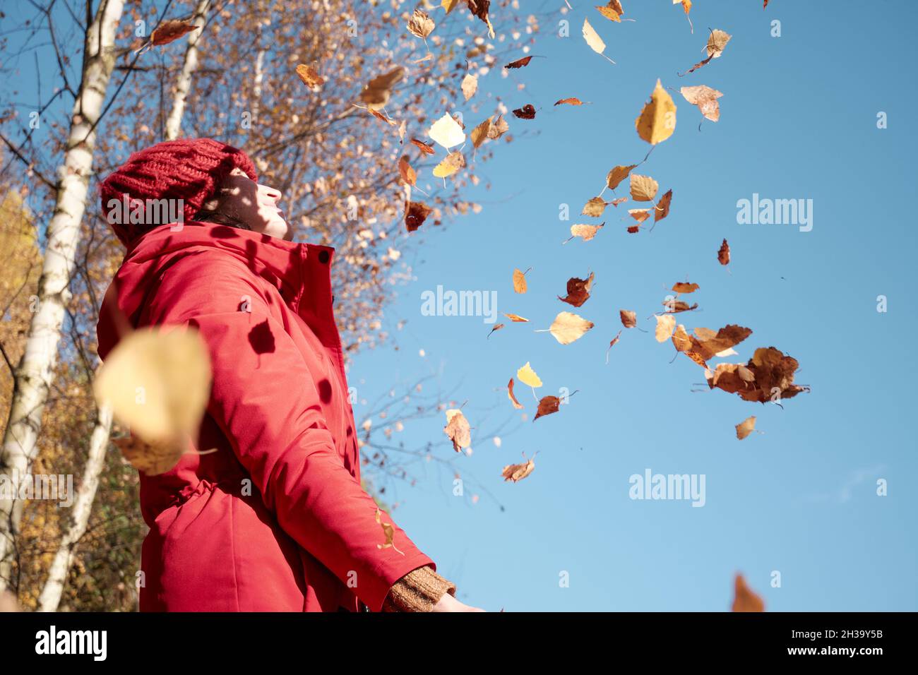 Une femme dans Une veste rouge jette des feuilles jaunes.Paysage d'automne.Vidéo au ralenti. Banque D'Images