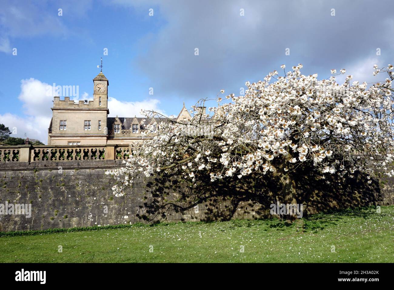 Château de Bangor et Hôtel de ville au printemps.Bangor, Comté en bas, Irlande du Nord Banque D'Images