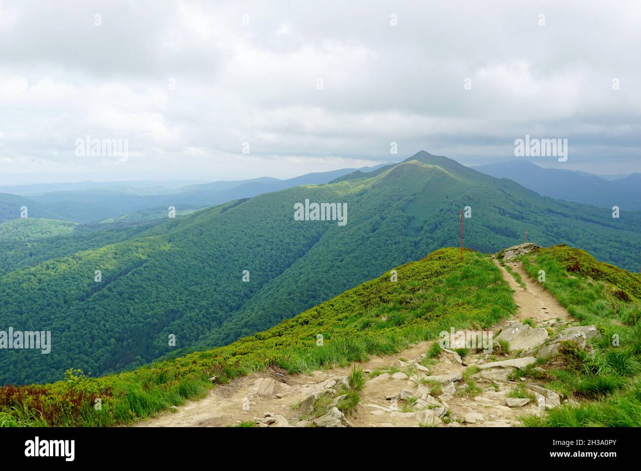 Sentier de randonnée à Polonina Wetlinska dans les montagnes de Bieszczady, Pologne Banque D'Images
