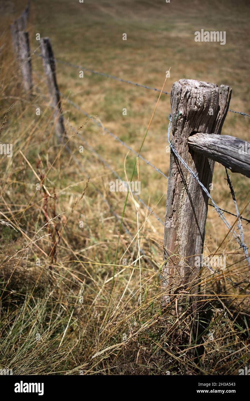 Ancienne clôture en bois - sentier pédestre entre Orly-sur-Morin et Verdelot le long du petit morin - Seine-et-Marne - Île-de-France - France Banque D'Images