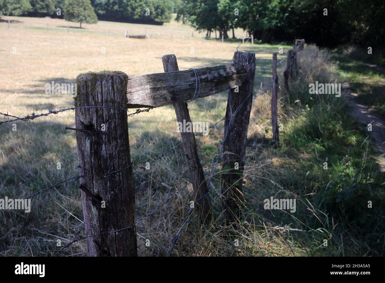 Ancienne clôture en bois - sentier pédestre entre Orly-sur-Morin et Verdelot le long du petit morin - Seine-et-Marne - Île-de-France - France Banque D'Images