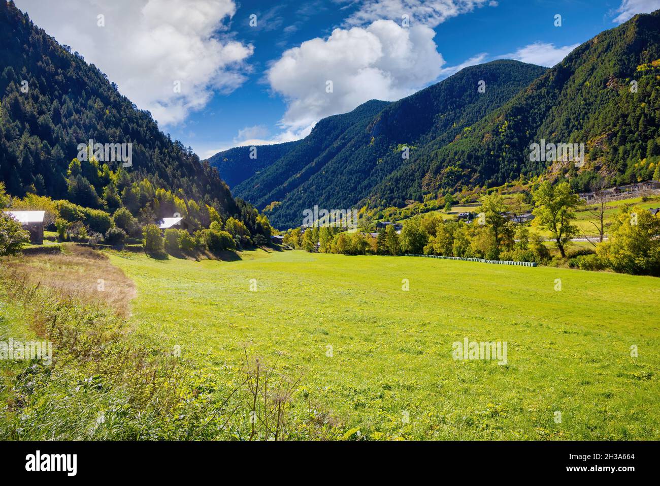 Vue sur un pré entouré de forêts et de hautes montagnes en automne à Ordino, Andorre Banque D'Images