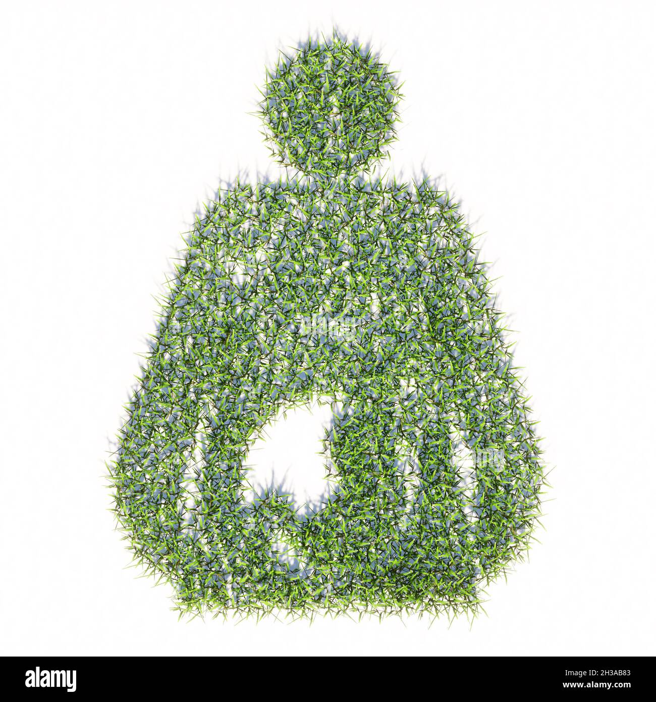 Concept ou conceptuel vert été pelouse herbe symbole isolé fond blanc, signe de la femme enceinte. métaphore de l'illustration 3d pour la maternité Banque D'Images