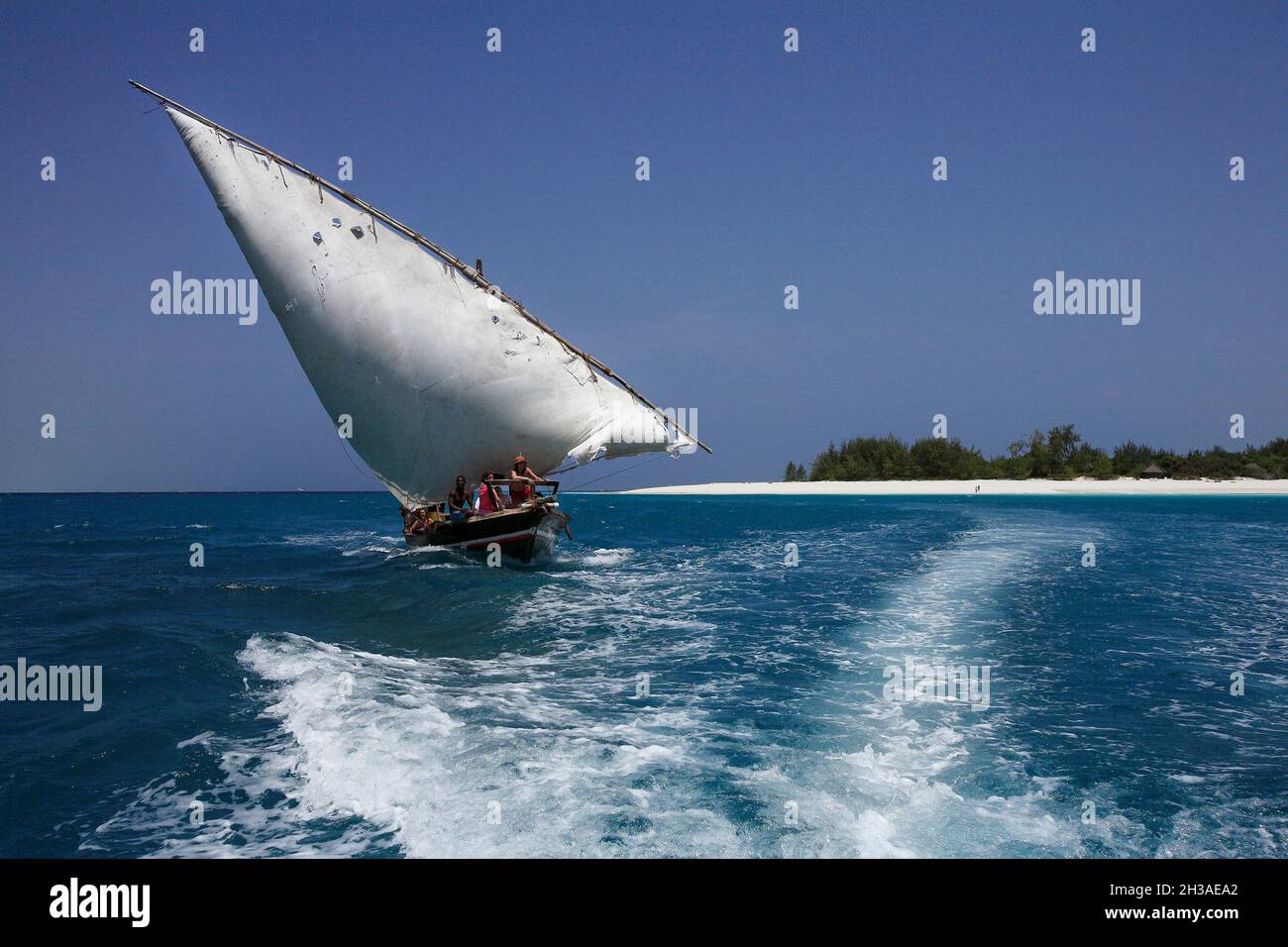 TANZANIE, ARCHIPEL DE ZANZIBAR, ÎLE DE MNEMBA Banque D'Images