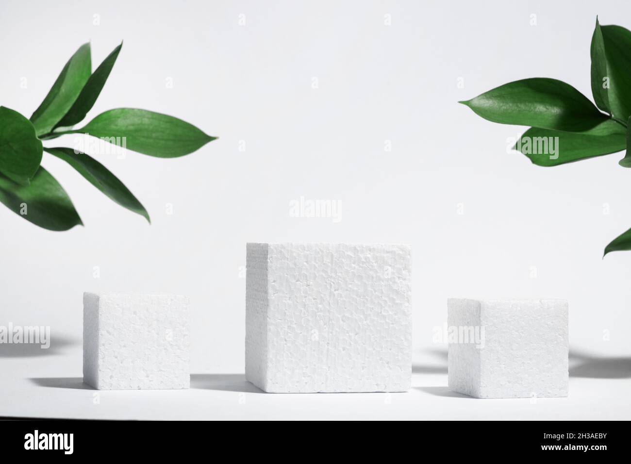 Cube poreux blanc, podium carré avec feuilles et ombres sur fond gris blanc.Scène conceptuelle, présentation d'un nouveau produit, présentation, vente, Banque D'Images