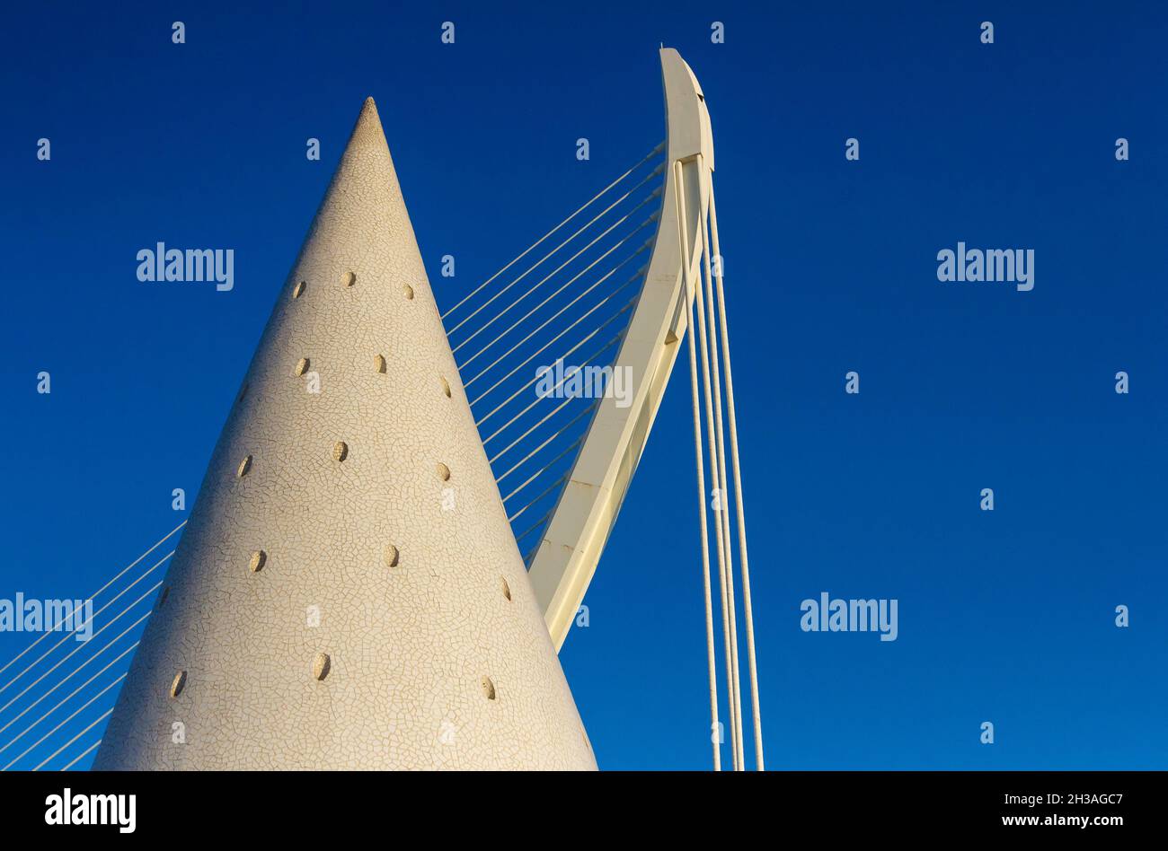 ESPAGNE.VALENCE.CIUDAD DE LAS ARTES Y LAS CIENCIAS OU CITÉ DES ARTS ET DES SCIENCES Banque D'Images