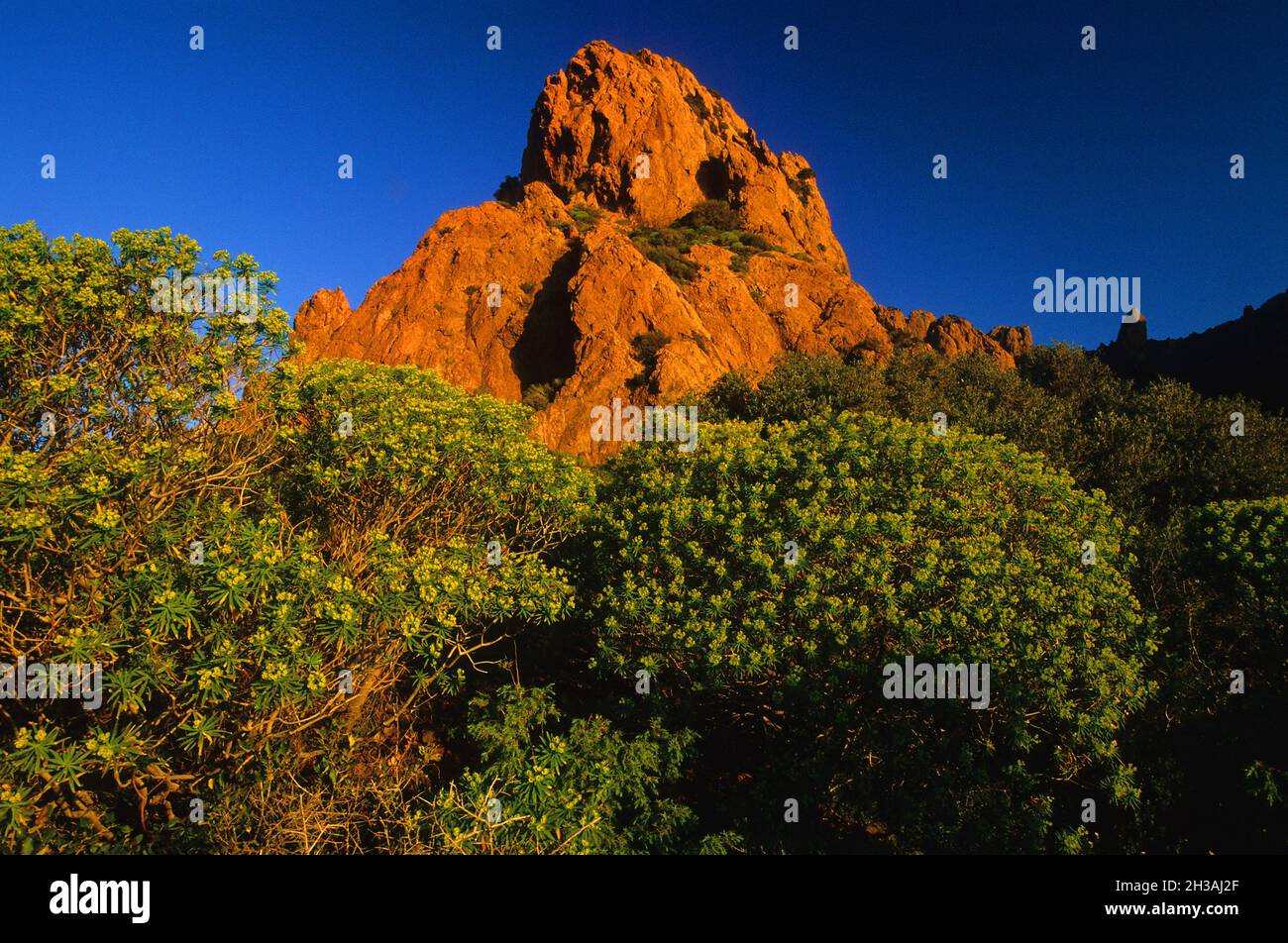 FRANCE.VAR (83) MASSIF DE L'ESTEREL Banque D'Images