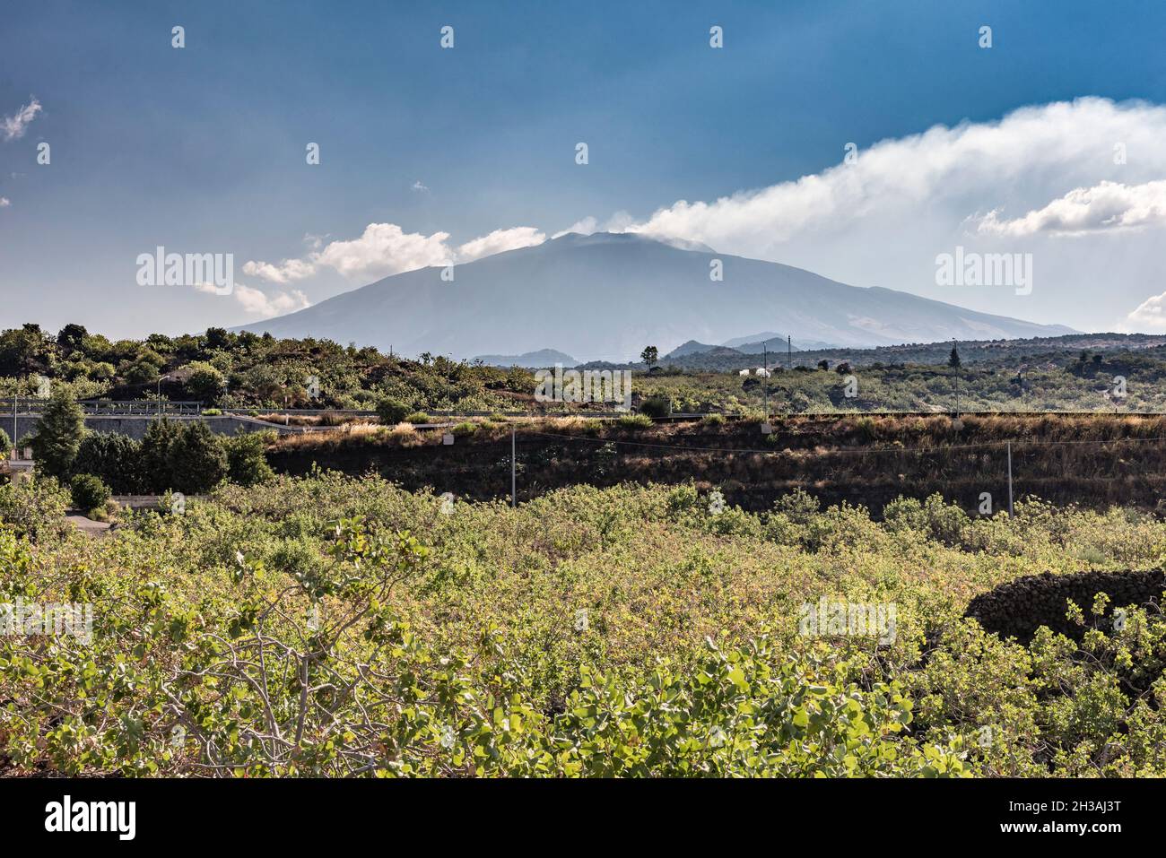 Le volcan Etna vu au-dessus des vergers de pistaches près de la ville de Bronte (Sicile, Italie) Banque D'Images