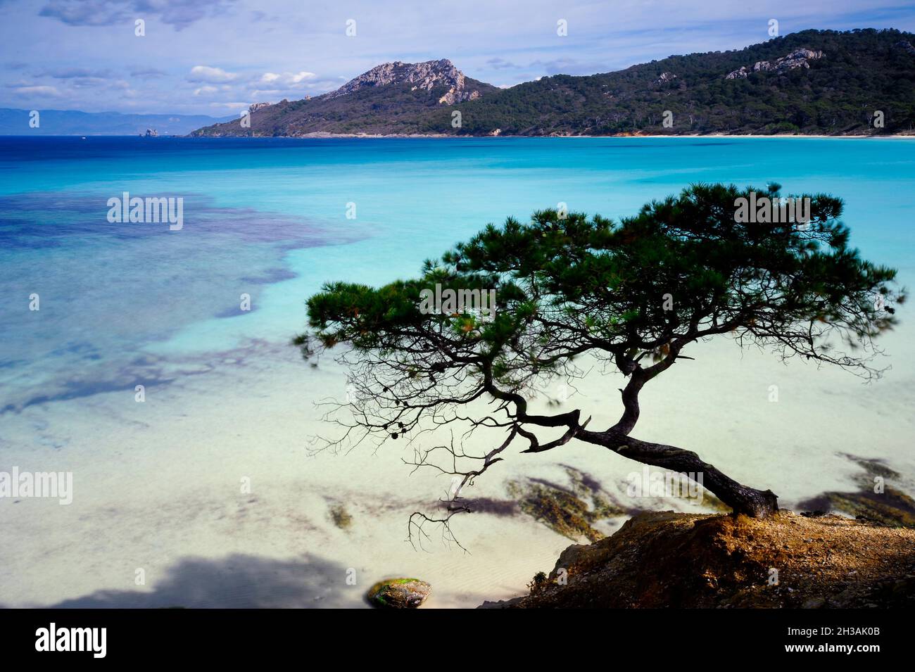 FRANCE.VAR (83) ÎLE DE PORQUEROLLES.PLAGE NOTRE-DAME Banque D'Images