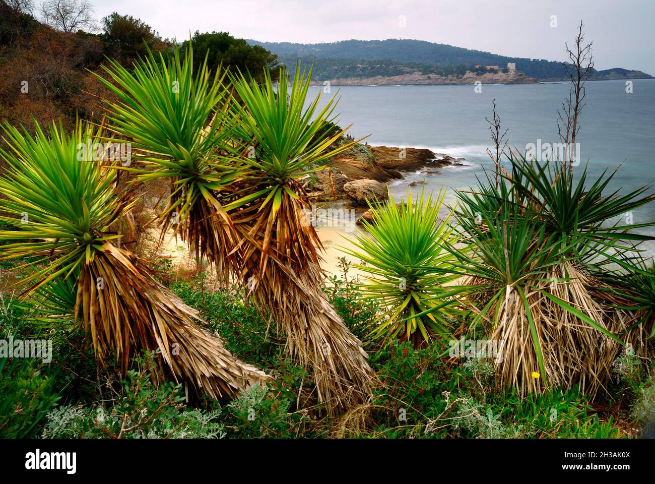 FRANCE.VAR (83) RISING SUN ISLAND.PLAGE DE GROTTO Banque D'Images