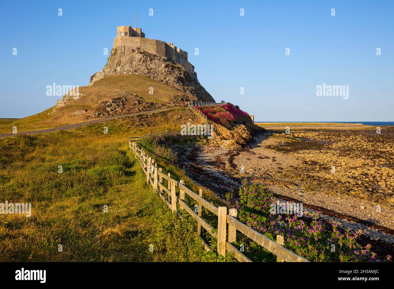 Château de Lindisfarne sur une falaise Île de Lindisfarne Île Sainte Lindisfarne Northumberland Angleterre GB Europe Banque D'Images