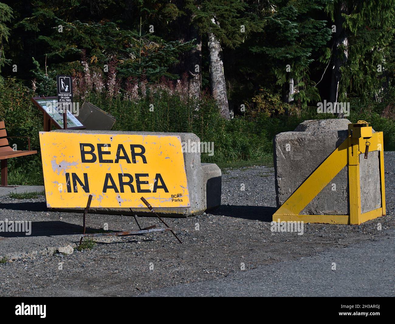 Panneau d'avertissement de couleur jaune (ours dans la région) informant de l'activité de la faune dans la région près du sentier dans le parc provincial du Mont Seymour. Banque D'Images