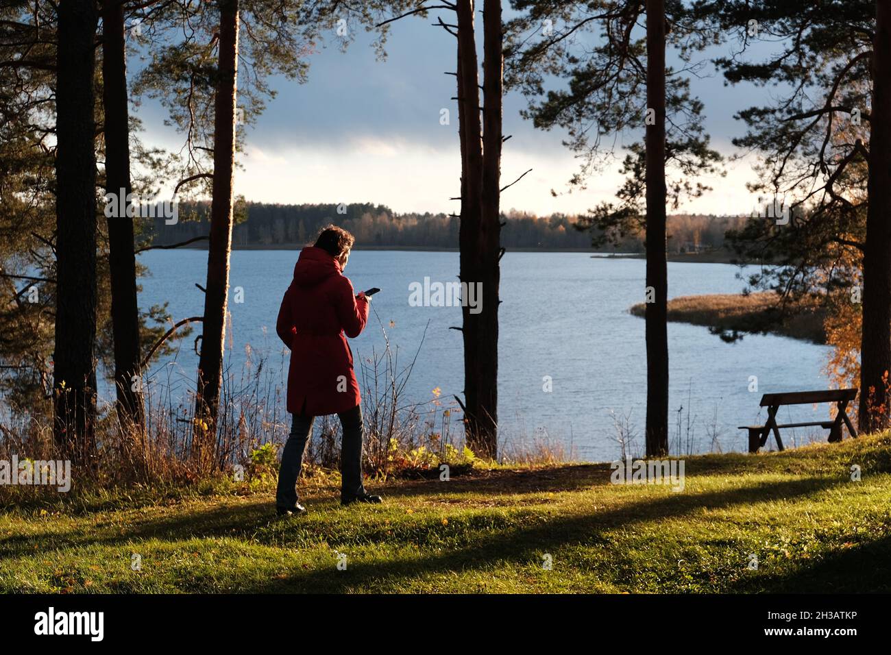Une femme dans une veste rouge marche à travers le parc d'automne parmi les feuilles mortes jaunes. Banque D'Images