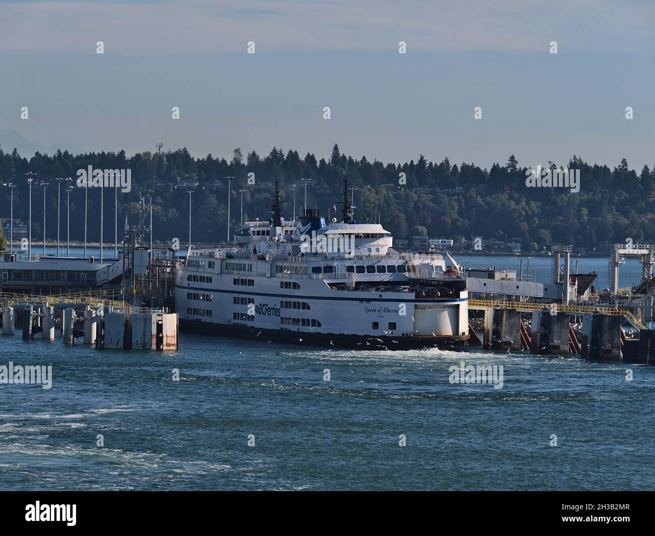 Vue du terminal de traversier Tsawwassen dans le détroit de Georgia, en mer de Salish avec quai du navire BC Ferries MV Queen of Alberni le jour ensoleillé de l'automne. Banque D'Images