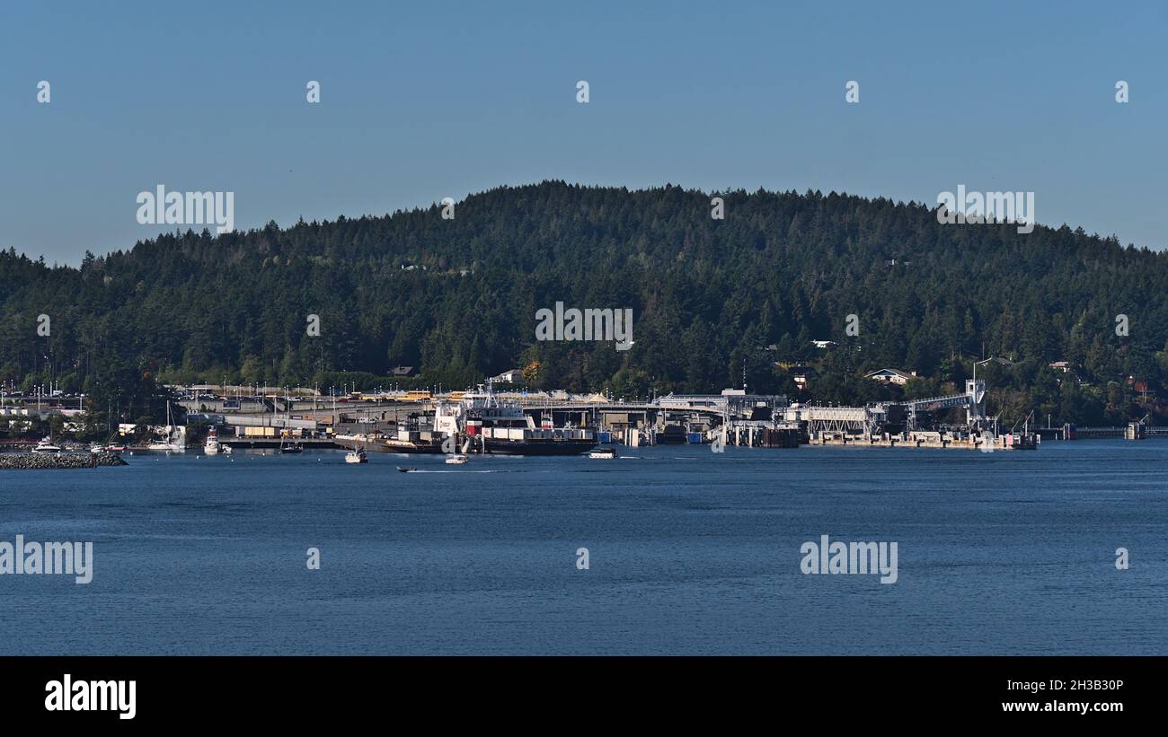 Terminal de traversier de Swartz Bay sur l'île de Vancouver à Puget Sound vu de l'approche du traversier par temps ensoleillé en automne entouré de forêts. Banque D'Images