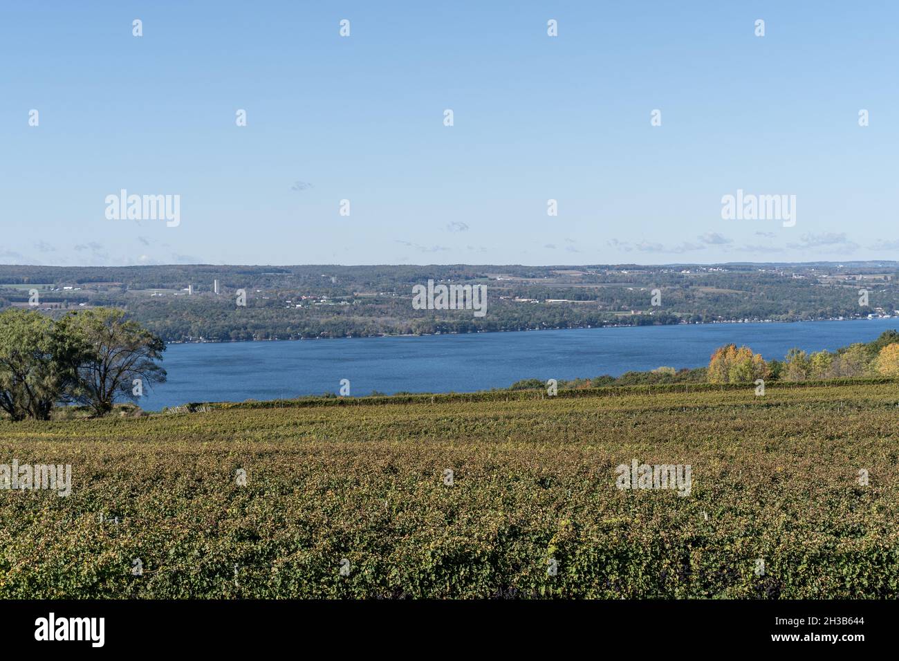 Paysage d'automne du lac Seneca et vignoble au coeur du pays viticole de Finger Lakes, New York Banque D'Images