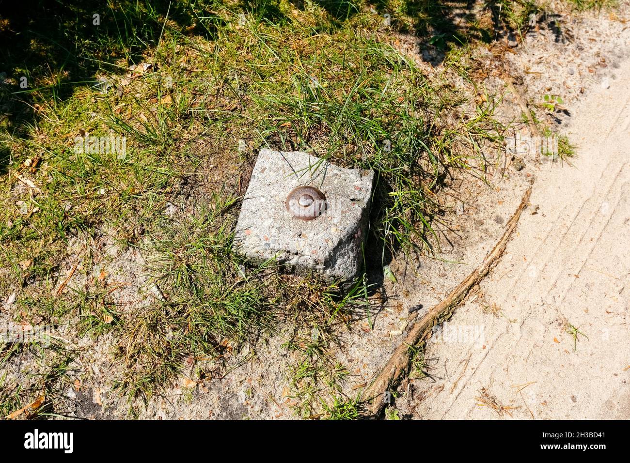 Un petit poteau en béton avec une étiquette métallique marque la frontière de la parcelle dans une vaste zone forestière en Pologne près du village de Wilga.Ici le poste est sur le bord Banque D'Images