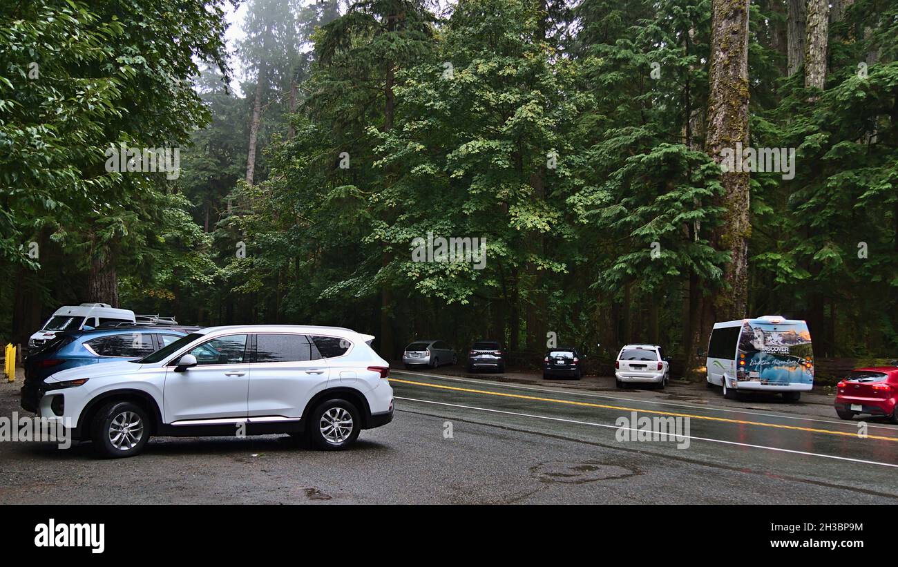 Les voitures stationnant sur le côté de la rue à Cathedral Grove, sur l'île de Vancouver, par temps pluvieux, avec de grands arbres.Concentrez-vous sur la voiture blanche. Banque D'Images