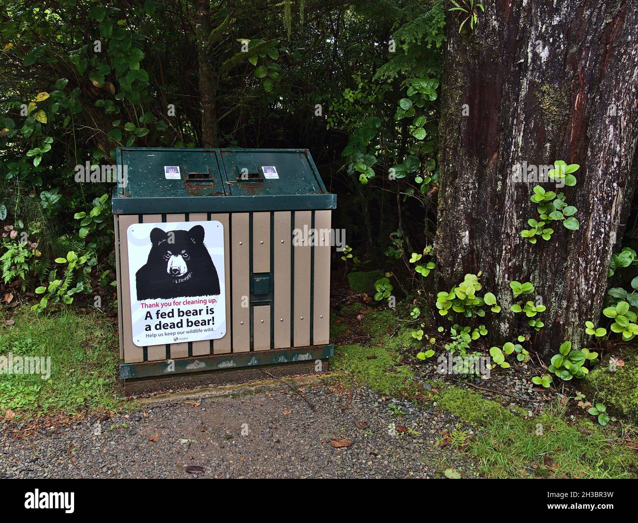 Une poubelle à l'épreuve des ours au sentier Wild Pacific Trail à Ucluelet, sur l'île de Vancouver, dans une forêt avec de grands arbres et un panneau d'information. Banque D'Images