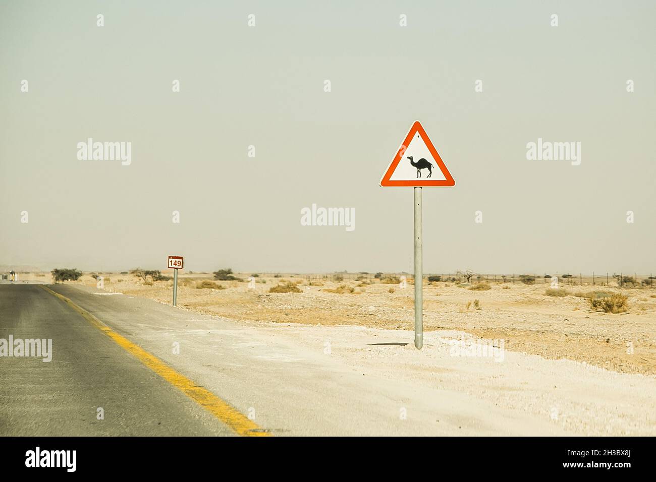 Attention au panneau de signalisation routière pour les véhicules qui se croisent.Méfiez-vous des chameaux sur l'autoroute du désert. Banque D'Images