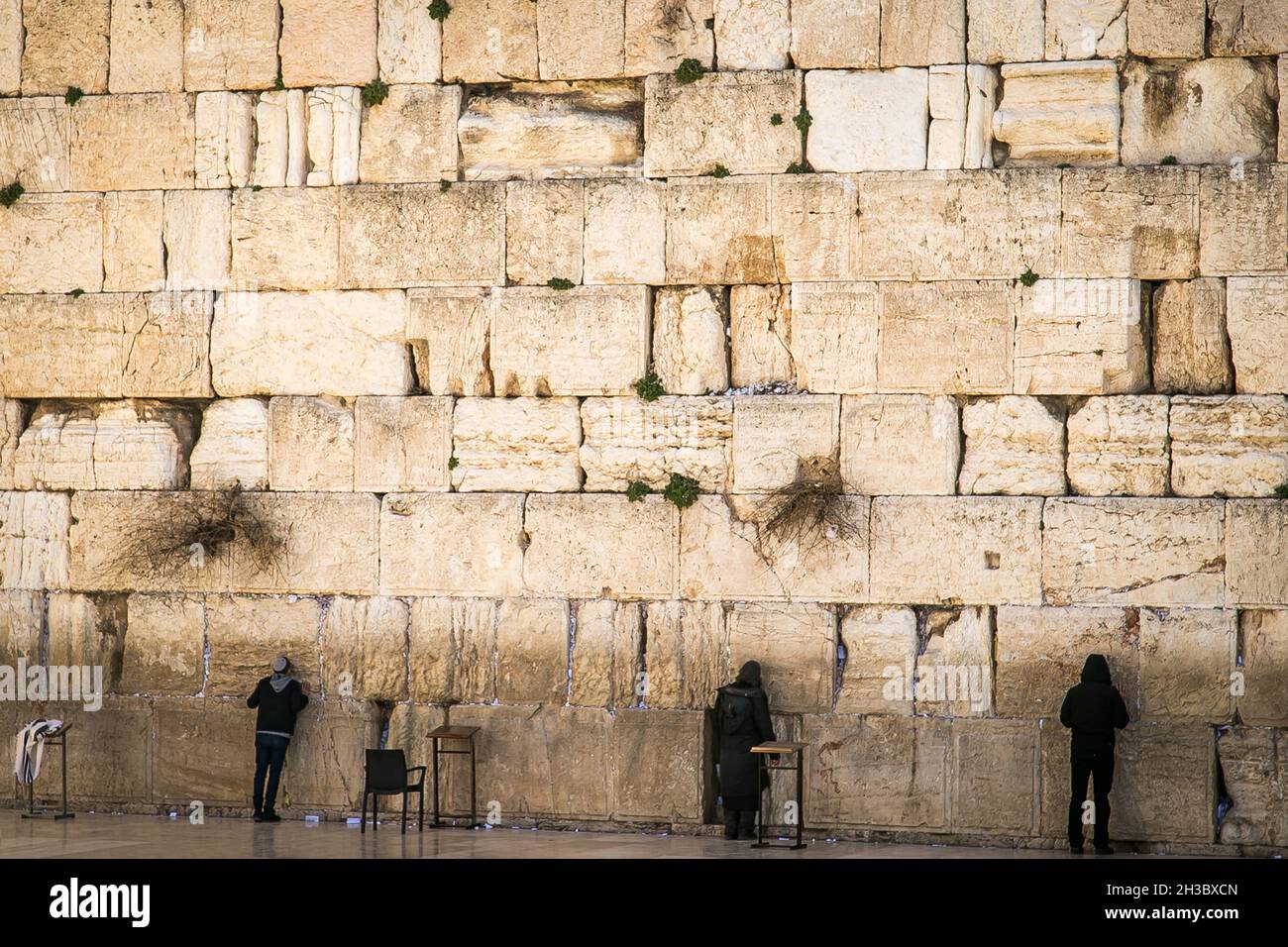 Les gens priant dans le mur occidental dans la vieille ville de Jérusalem, le mur occidental d'Israël.Prières au mur des lamentations à Jérusalem. Banque D'Images
