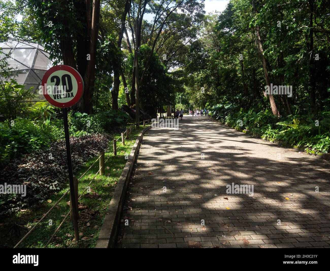 Signe indiquant « 20 Vel.Max' (vitesse maximale de 20 km/h) dans Green Pristine Botanical Garden Banque D'Images