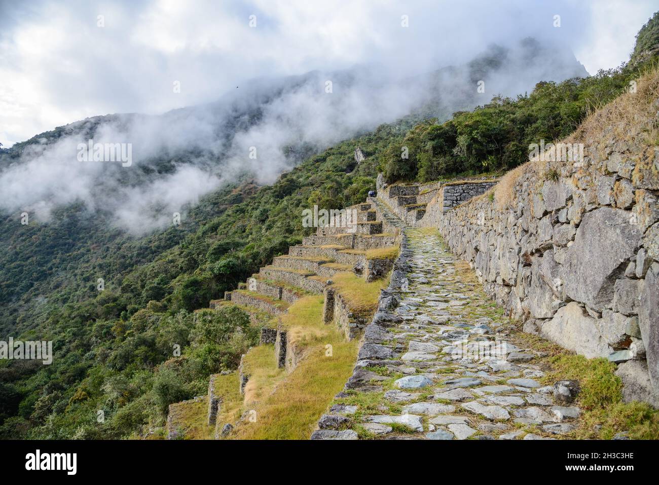 Routes pavées à Machu Picchu, Cuzco, Pérou. Banque D'Images Routes pavées à Machu Picchu, Cuzco, Pérou. Banque D'Images
