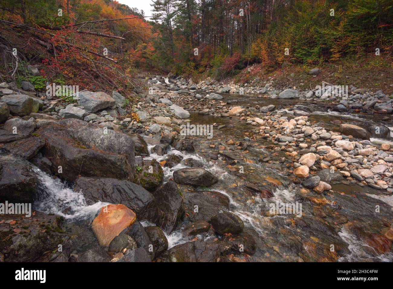 Cours d'eau dans la forêt avec chute d'eau au-dessus des rochers pendant l'automne avec feuillage d'automne en octobre Banque D'Images