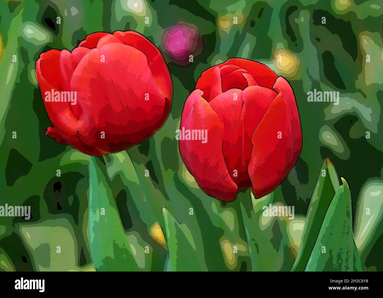 Illustration d'une paire de tulipes rouges dans le jardin Banque D'Images