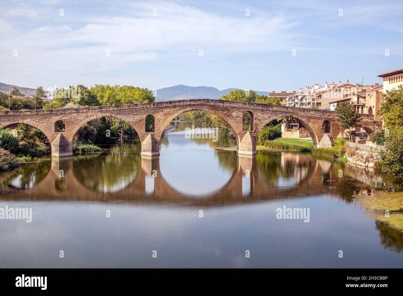 Le pont médiéval Puente Romanico au-dessus de la rivière Arga dans la ville espagnole de Puente la Reina partie du Camino de Santiago le chemin de St James Banque D'Images Le pont médiéval Puente Romanico au-dessus de la rivière Arga dans la ville espagnole de Puente la Reina partie du Camino de Santiago le chemin de St James Banque D'Images