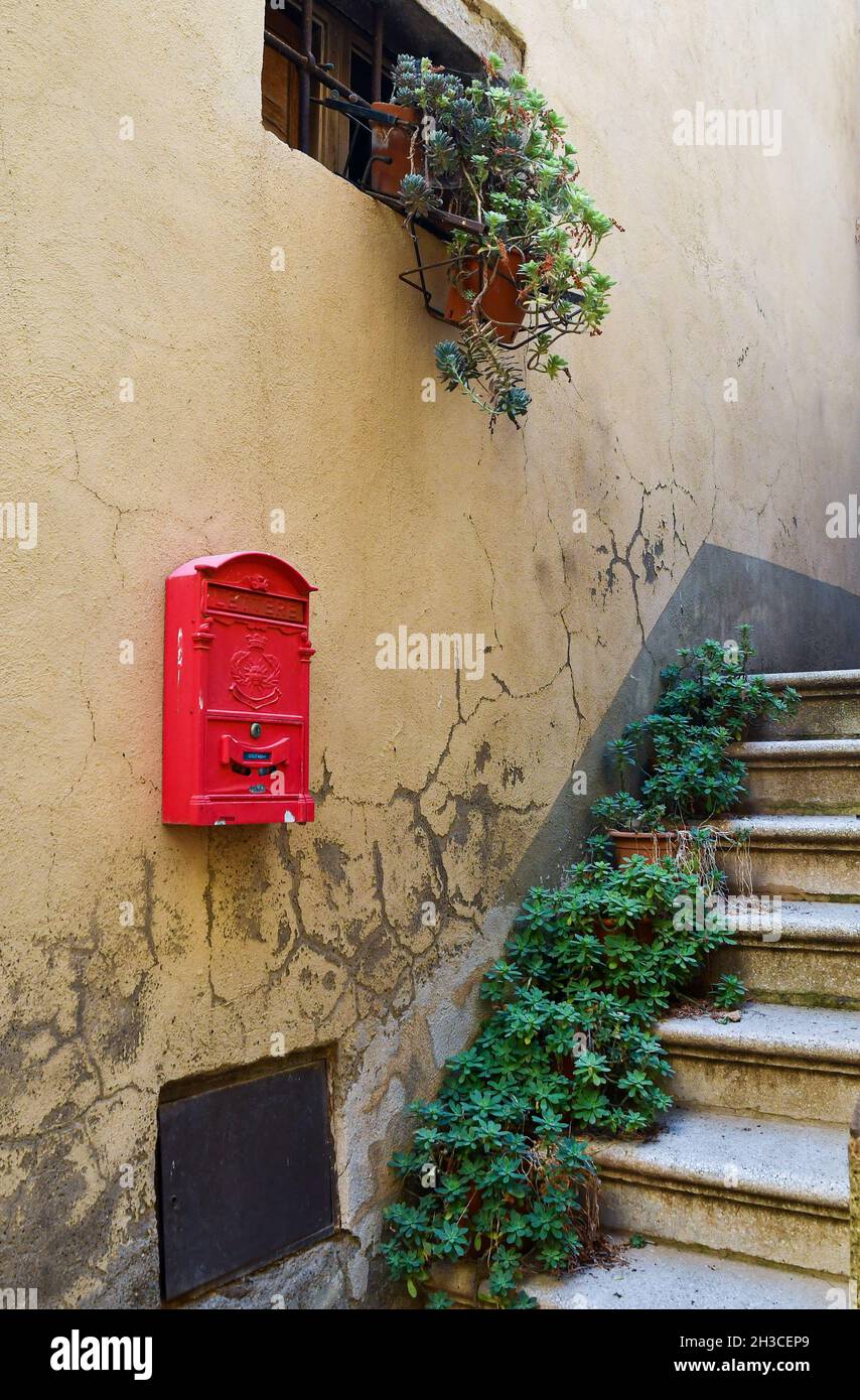 L'escalier extérieur d'une vieille maison avec une collection de plantes succulentes d'echeveria et une boîte aux lettres rouge vif accrochée au mur, Toscane, Italie Banque D'Images