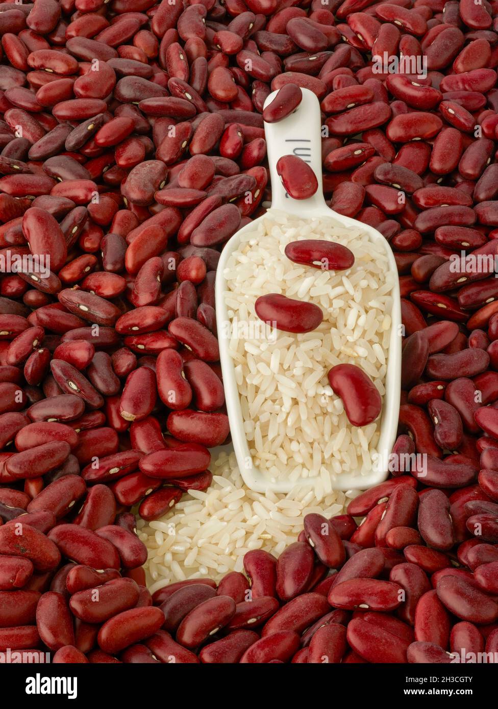 Haricots rouges et ingrédient alimentaire de riz encore-vie Banque D'Images