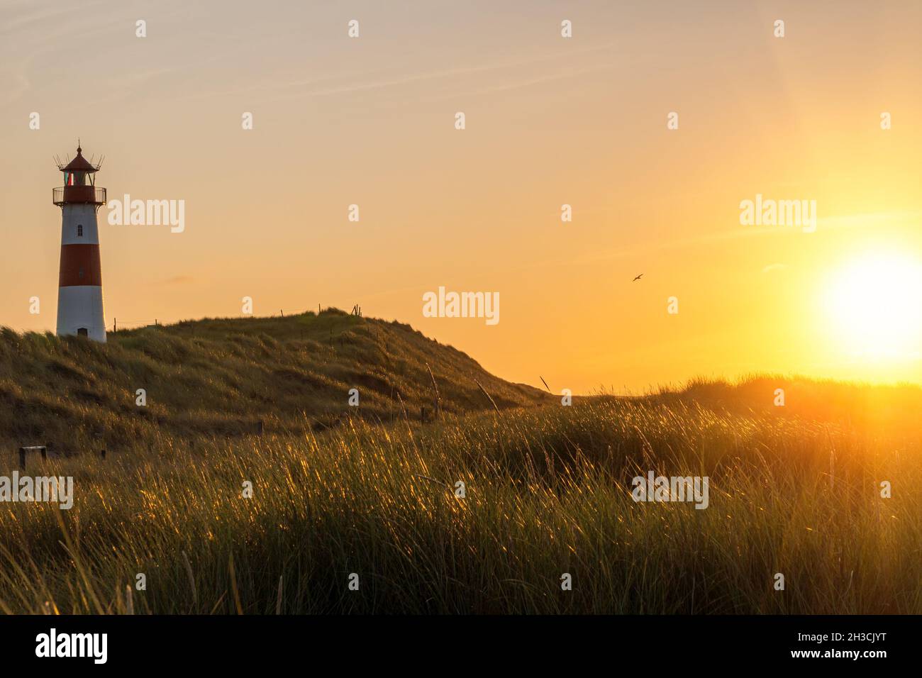 Belle liste de phare-Ost dans la lumière du coucher du soleil - sur l'île de Sylt, Allemagne Banque D'Images