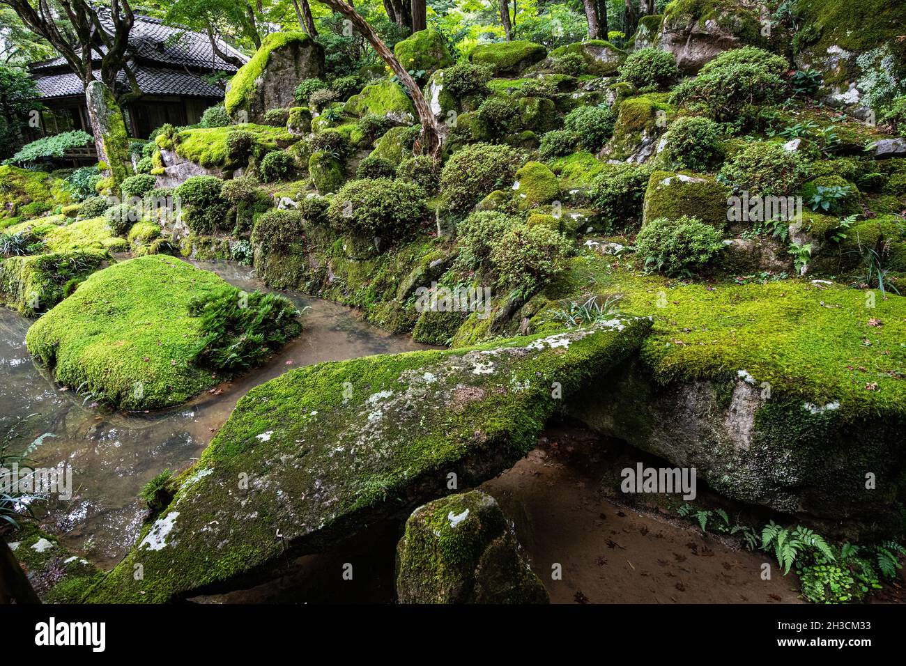 Le jardin à roulettes de Kyorinbo a été conçu par Kobori Enshu pendant la période de Momoyama . il est ouvert pour une durée limitée chaque année uniquement le week-end A. Banque D'Images