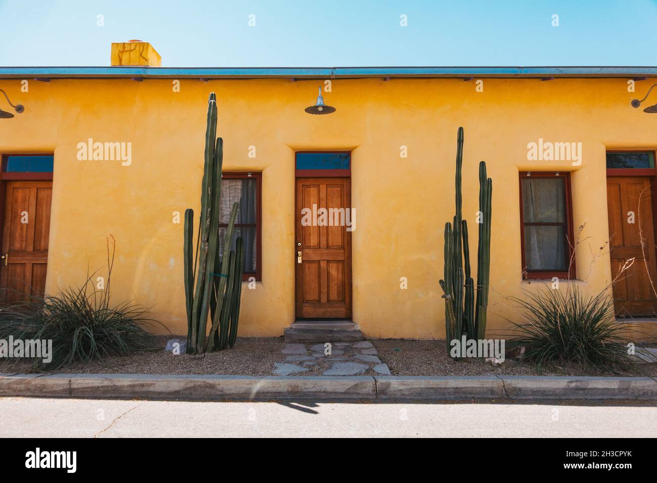 Cactus grandit devant une porte en bois sur une maison en adobe jaune à Barrio Viejo, Tucson, Arizona Banque D'Images