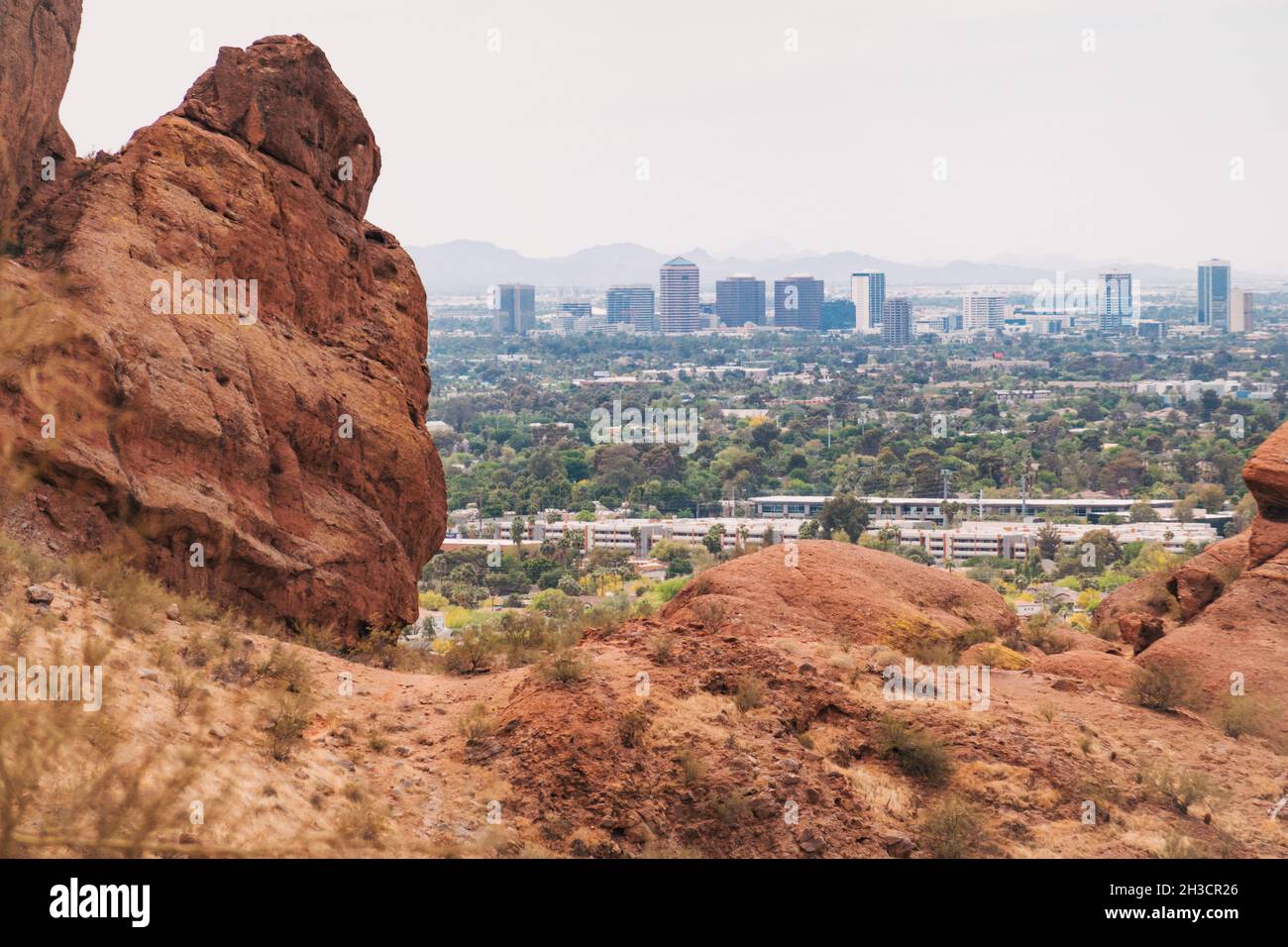 Horizon du centre-ville de Phoenix vu de Camelback Mountain, Arizona, États-Unis Banque D'Images