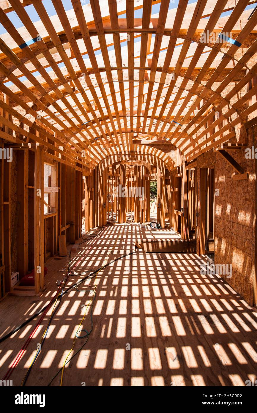 Plafond incurvé en bois à cadre elliptique ouvert à la lumière du soleil Banque D'Images