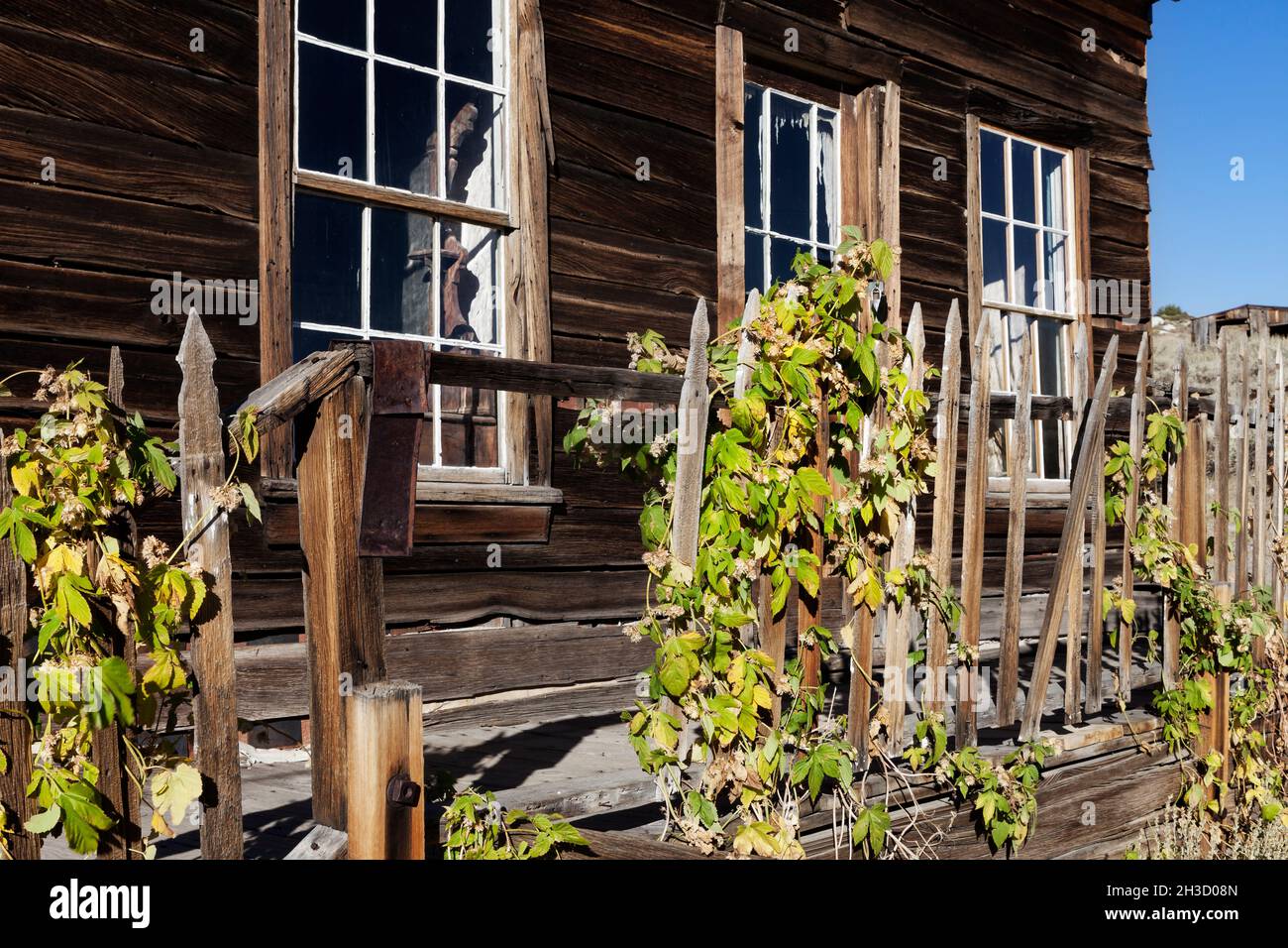 Maison avec une clôture de piquetage le long de Green Street dans la ville fantôme de Bodie au parc national de Bodie. Banque D'Images