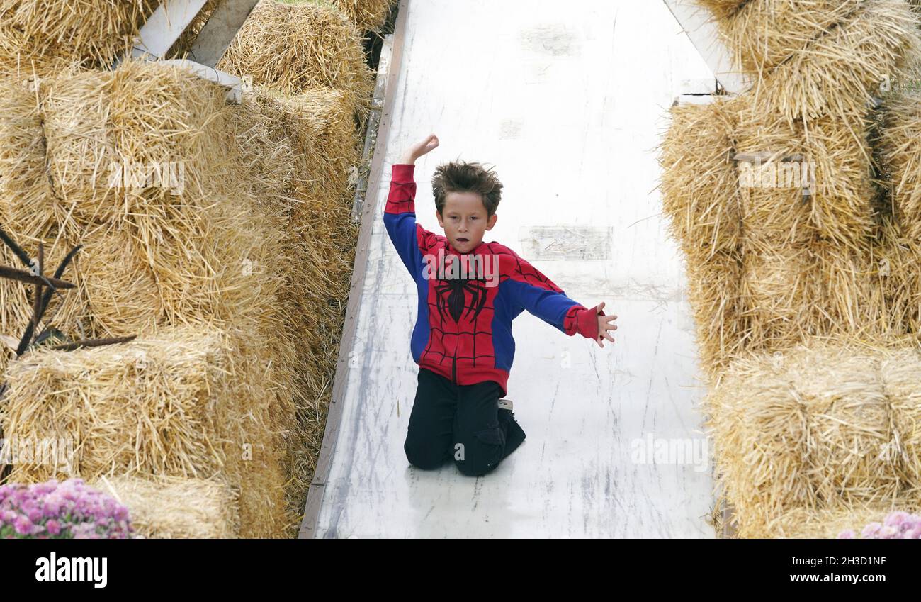 Maryland Heights, États-Unis.27 octobre 2021.Kevin Scott (7) de St. Charles, descend une glissade sur ses genoux dans Pumpkinland à la ferme de Thies et serres pendant les expositions d'Halloween, à Maryland Heights, Missouri, le mercredi 27 octobre 2021.Photo par Bill Greenblatt/UPI crédit: UPI/Alay Live News Banque D'Images