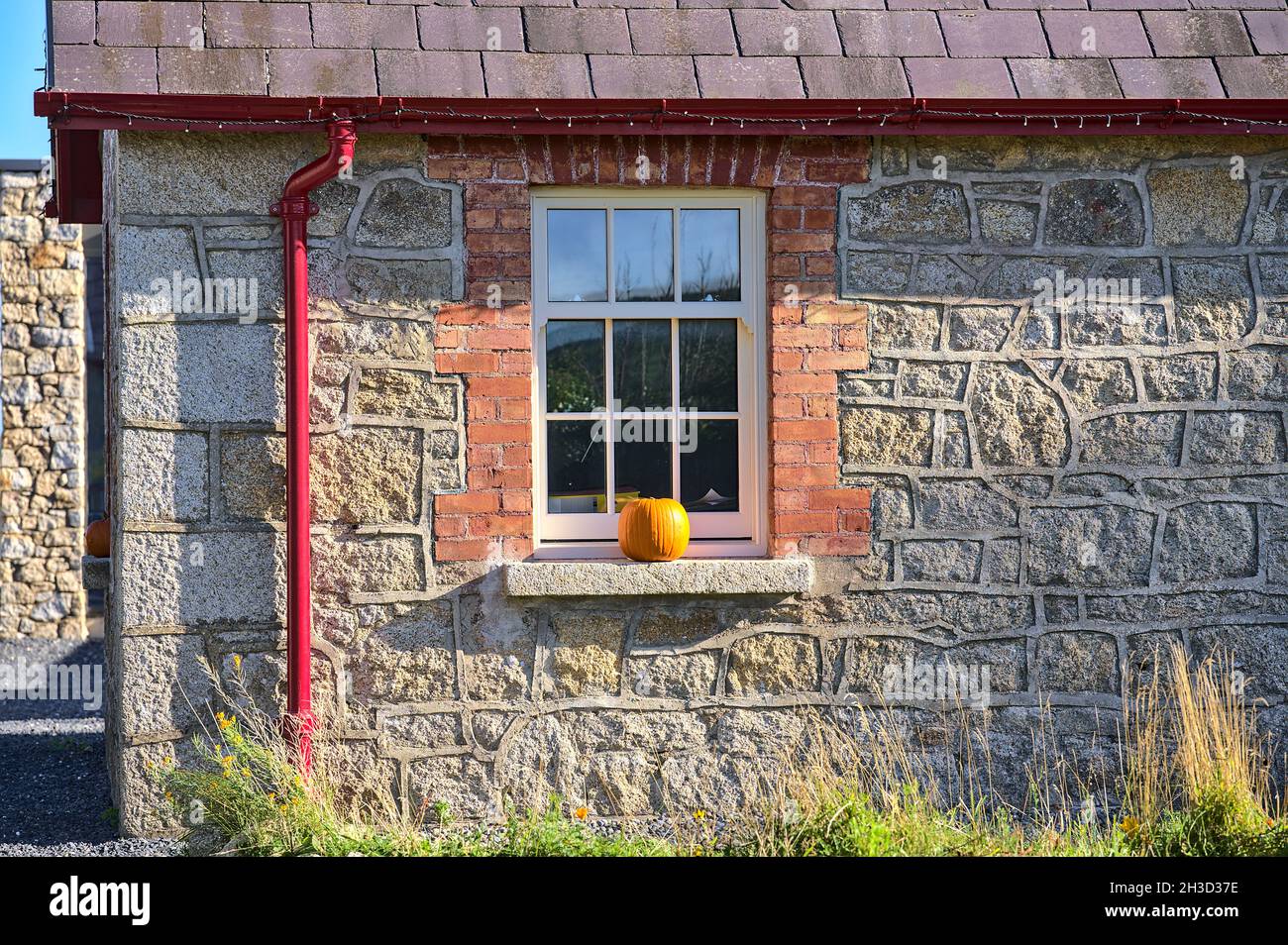 Belle vue rapprochée de la façade typique de la maison de campagne irlandaise avec la citrouille sur le seuil de la fenêtre le jour d'automne ensoleillé.Halloween 2021 décorations Banque D'Images
