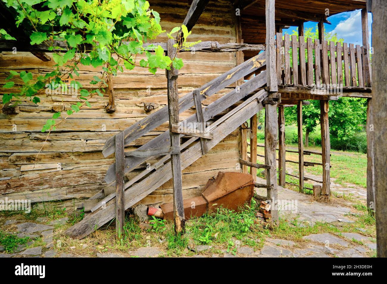 Ancienne maison de village abandonnée et de friches industrielles avec des raisins verts et des escaliers établis sur un sol en pierre dans la nature. Banque D'Images Ancienne maison de village abandonnée et de friches industrielles avec des raisins verts et des escaliers établis sur un sol en pierre dans la nature. Banque D'Images