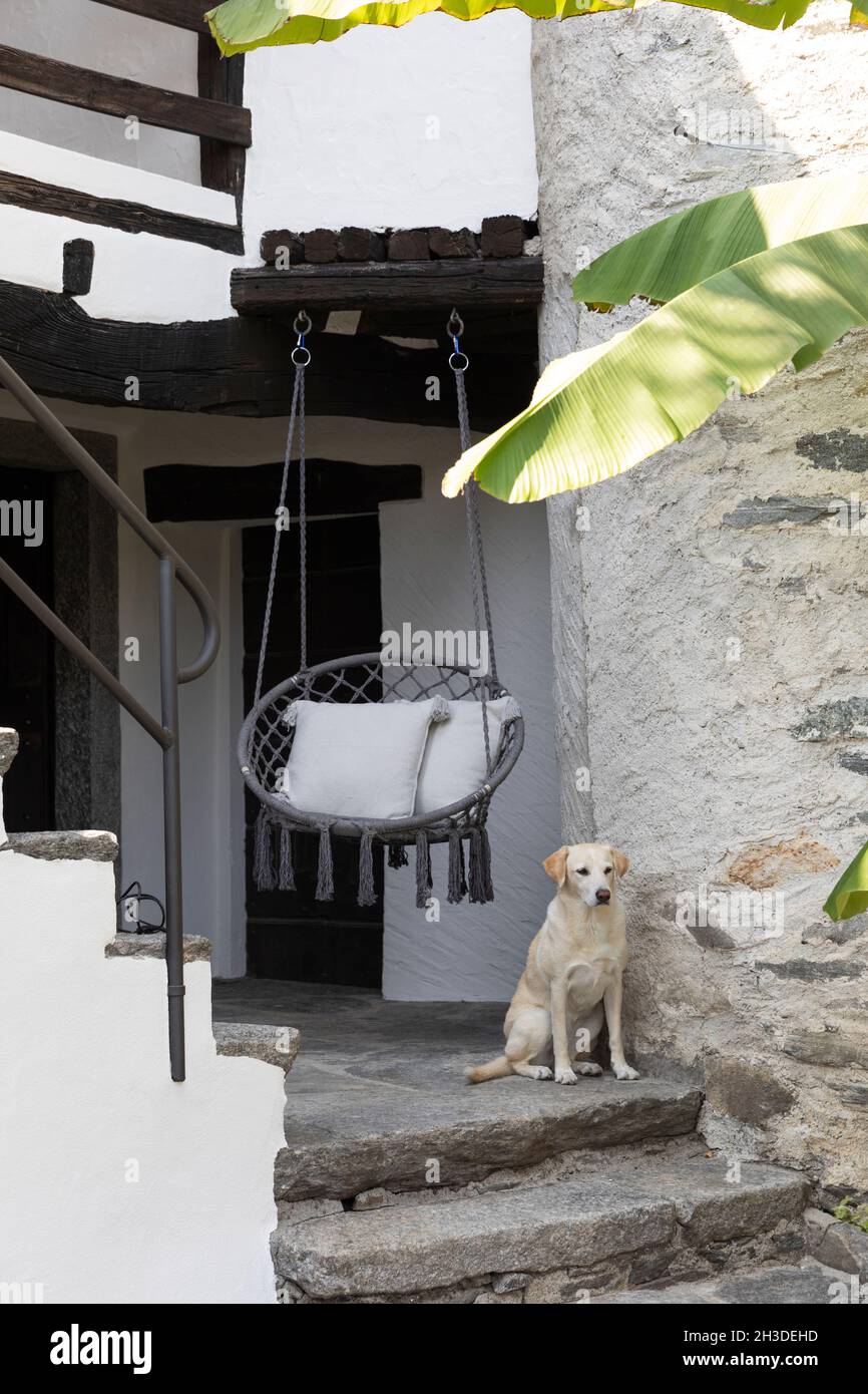 Entrée d'une maison suisse avec un beau chien qui attend à la porte.Une chaise ronde confortable est suspendue. Banque D'Images