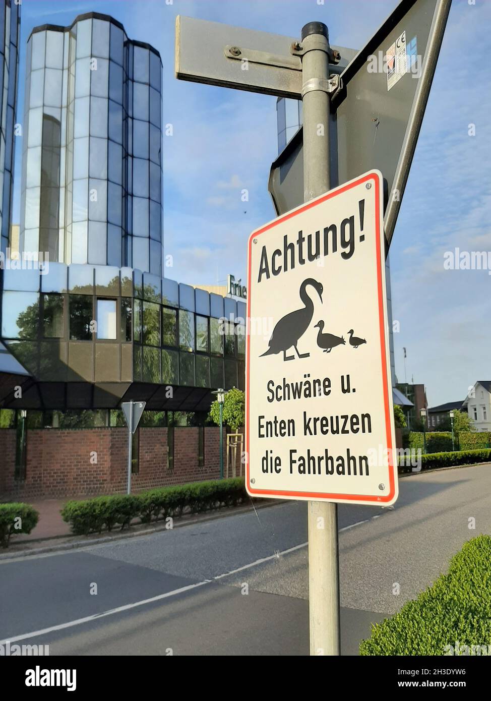 Panneau: Canards et cygnes traversant la route, Allemagne Banque D'Images