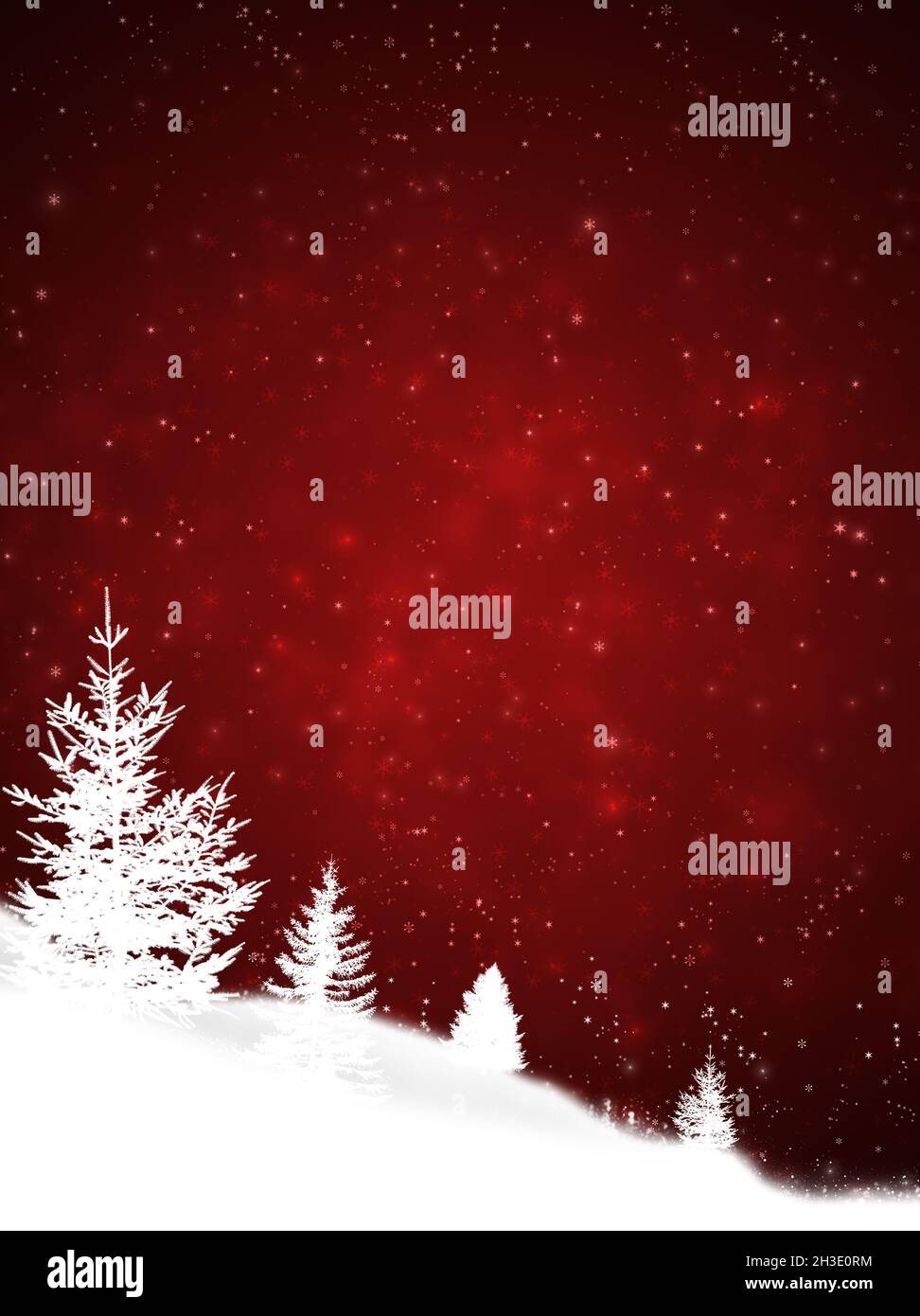 forêt magique de nuit avant la veille de noël. ambiance de vacances Banque D'Images