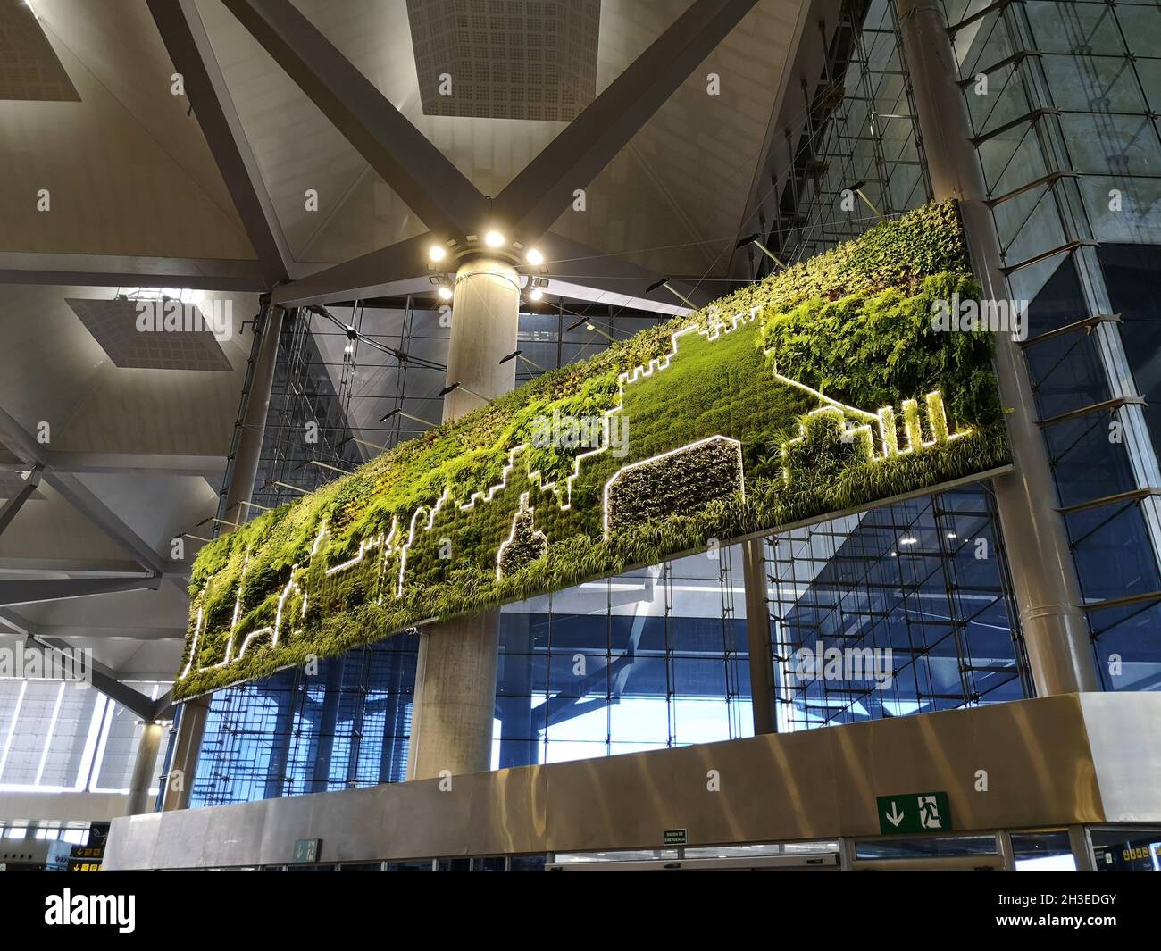 Jardin vertical à l'intérieur du terminal 3 de l'aéroport de Malaga, Andalousie, Espagne. Banque D'Images