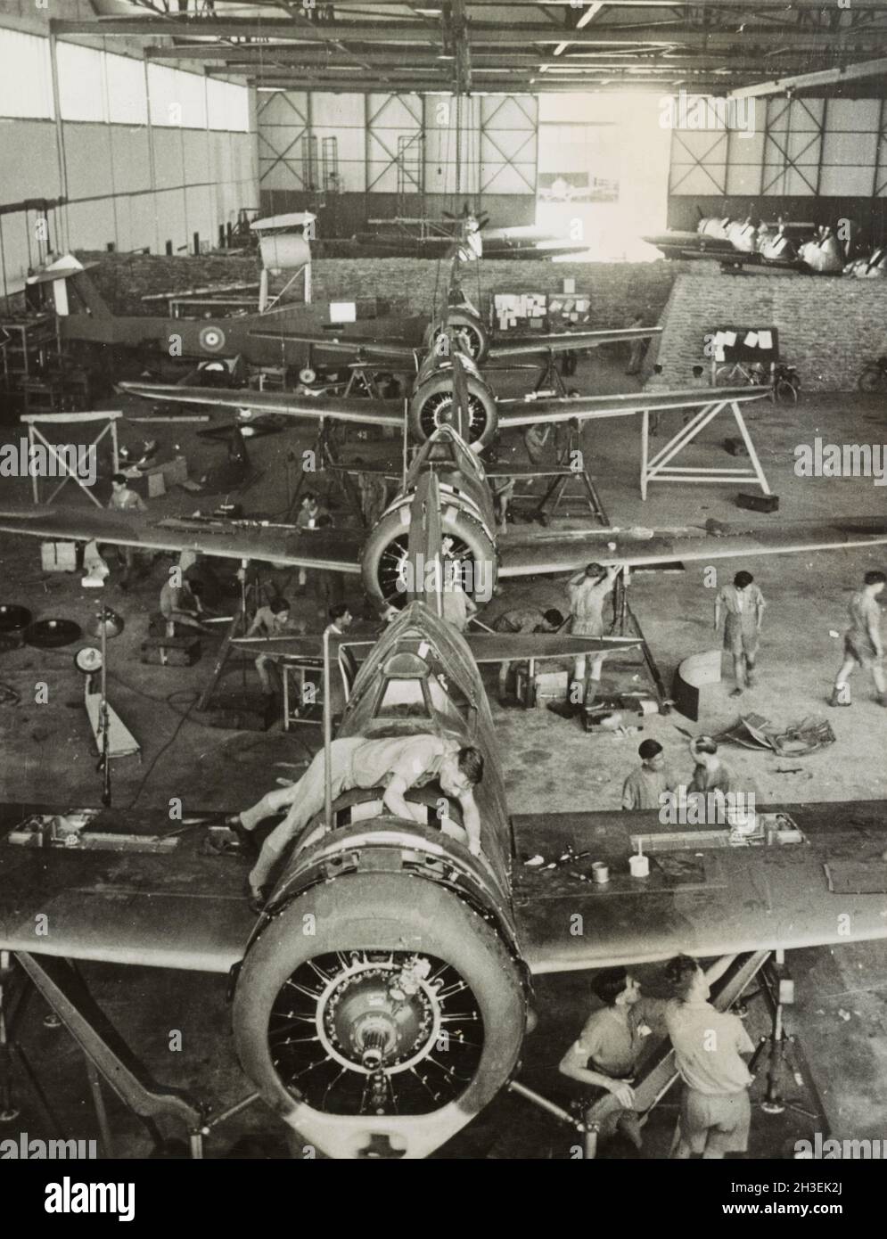 Photo vintage vers 1942 de Brewster Buffalo B-339E avion de chasse de la RAF étant maintenu dans un hangar avant l'invasion japonaise de Malaya et la chute de Singapour. Banque D'Images