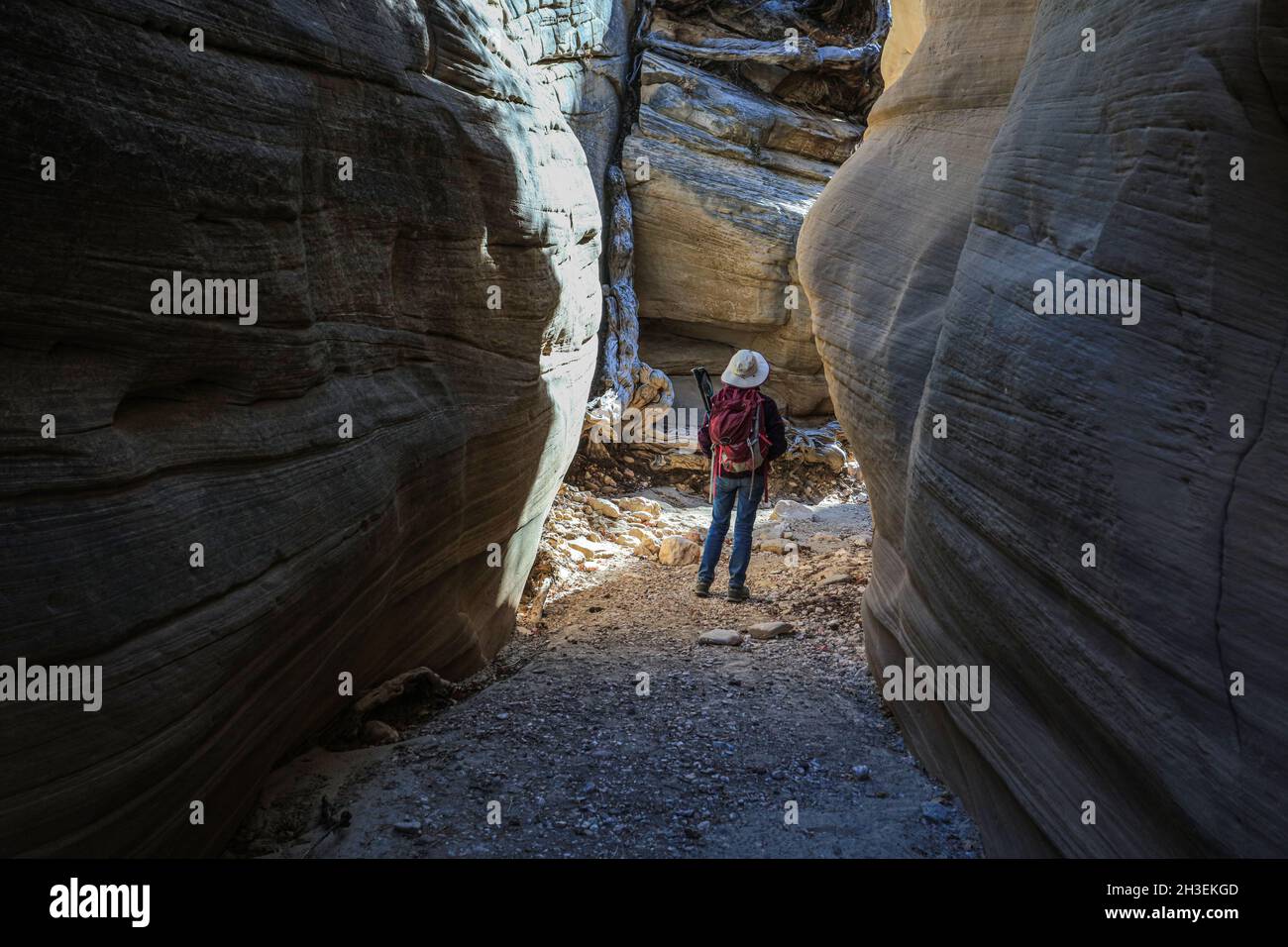 Une randonnée à travers Lick Wash, un lointain canyon affluent de Upper Buckskin Gulch dans l'Utah près de Kanab. Banque D'Images
